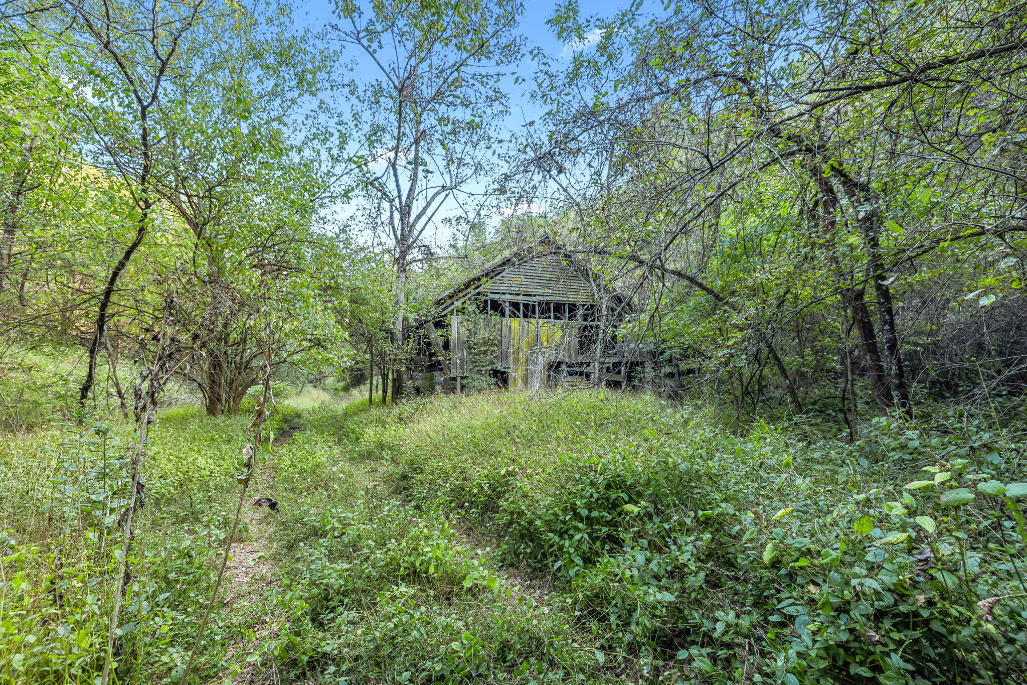 0 Tate Road Fayetteville, TN 37334 - Photo 9 of 39 33-web-or-mls-Tate Rd V2 - 5