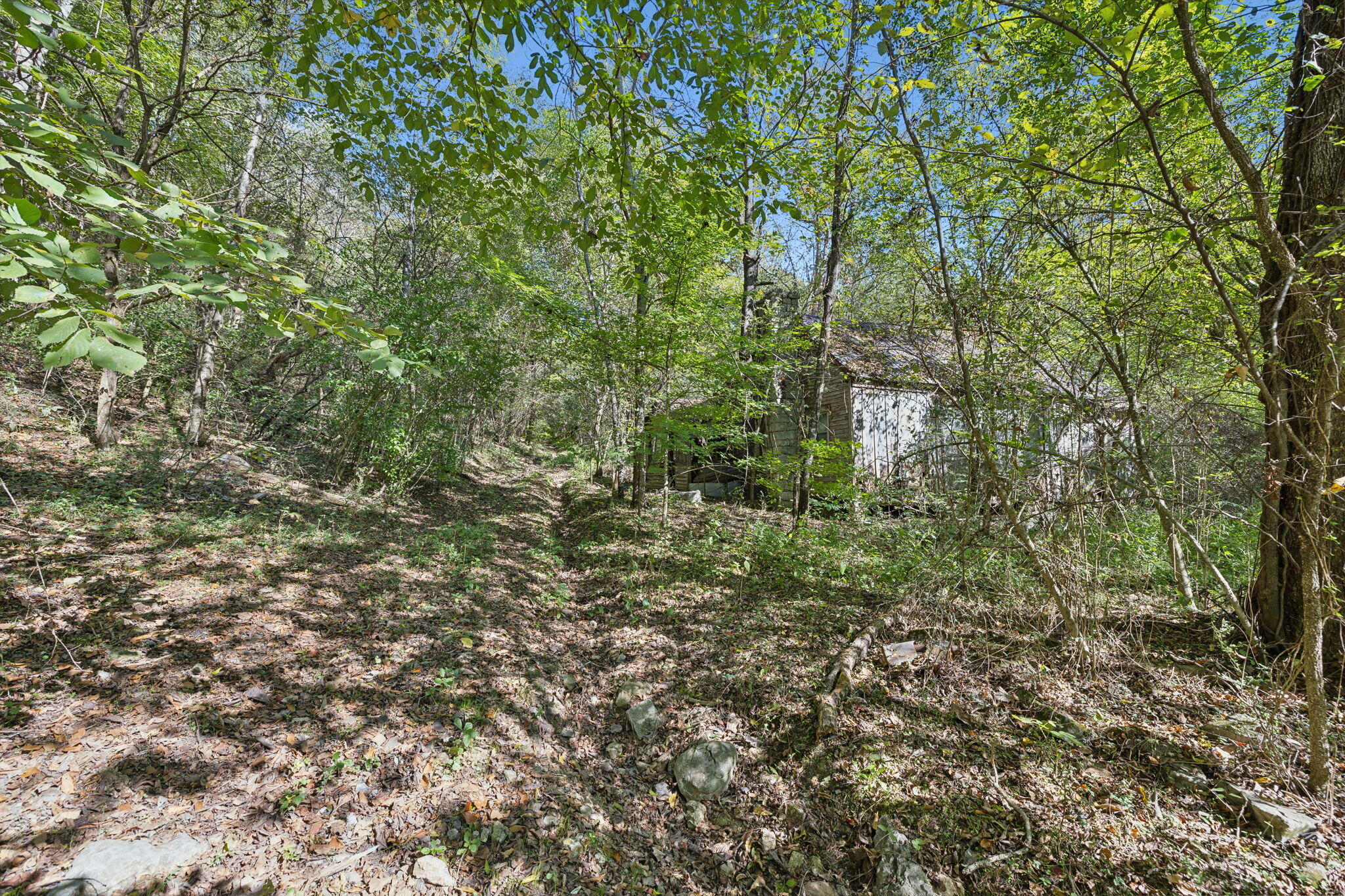 0 Tate Road Fayetteville, TN 37334 - Photo 10 of 39 2-web-or-mls-0 Tate Rd Fayetteville TN -