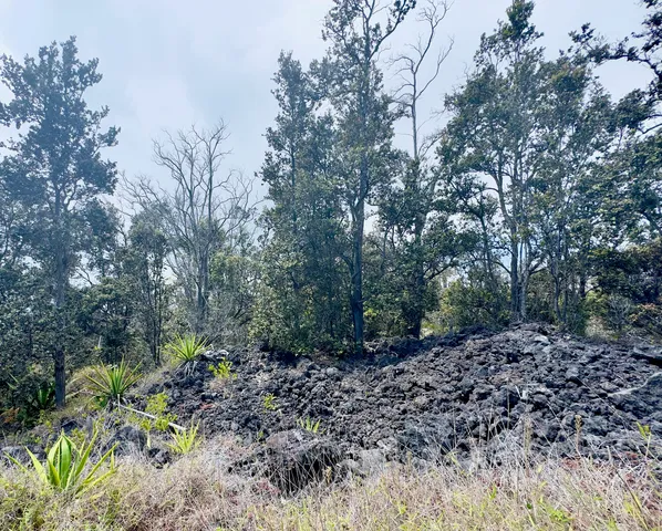 $25,000 | 14 Koa Lane, Ocean View, HI 96704