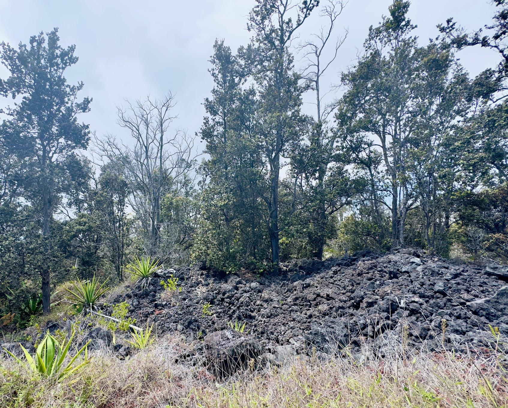 14 Koa Lane Ocean View, HI 96704 - Photo 1 of 6