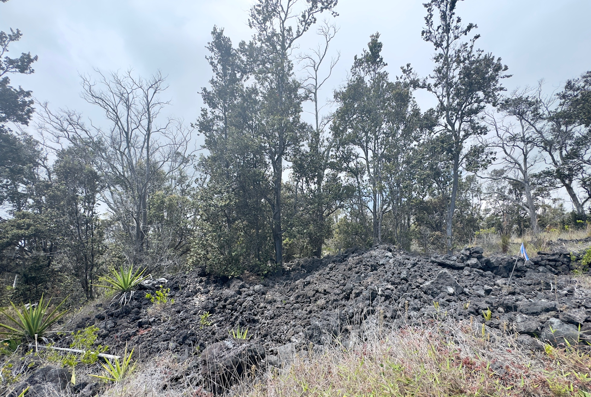 14 Koa Lane Ocean View, HI 96704 - Photo 5 of 6