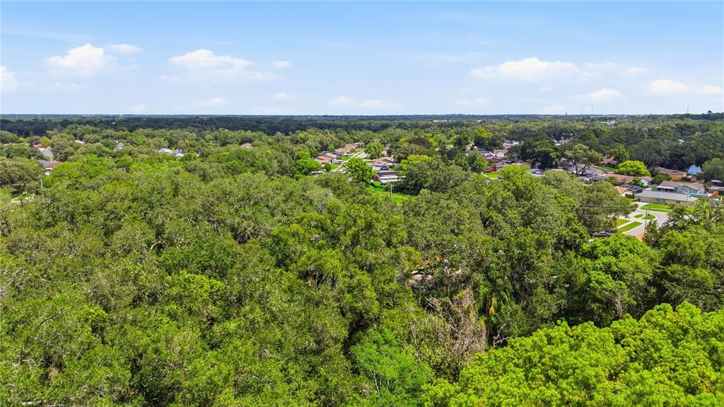 11211 Clay Pit Road Seffner, FL 33584 - Photo 14 of 23