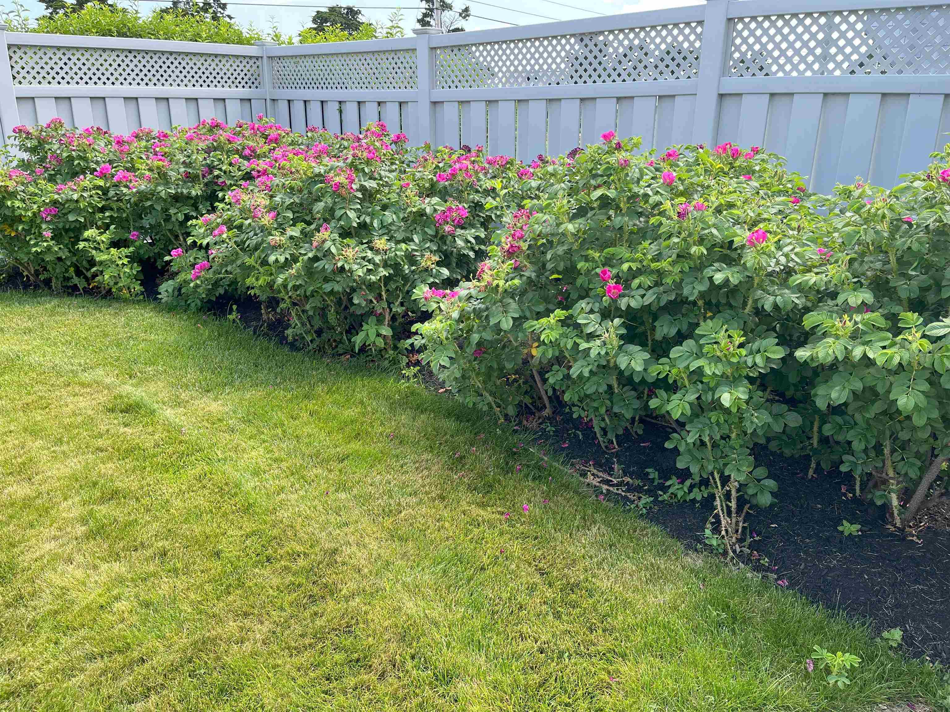947 Ocean Boulevard, Unit 10 Hampton, NH 03842 - Photo 35 of 57
