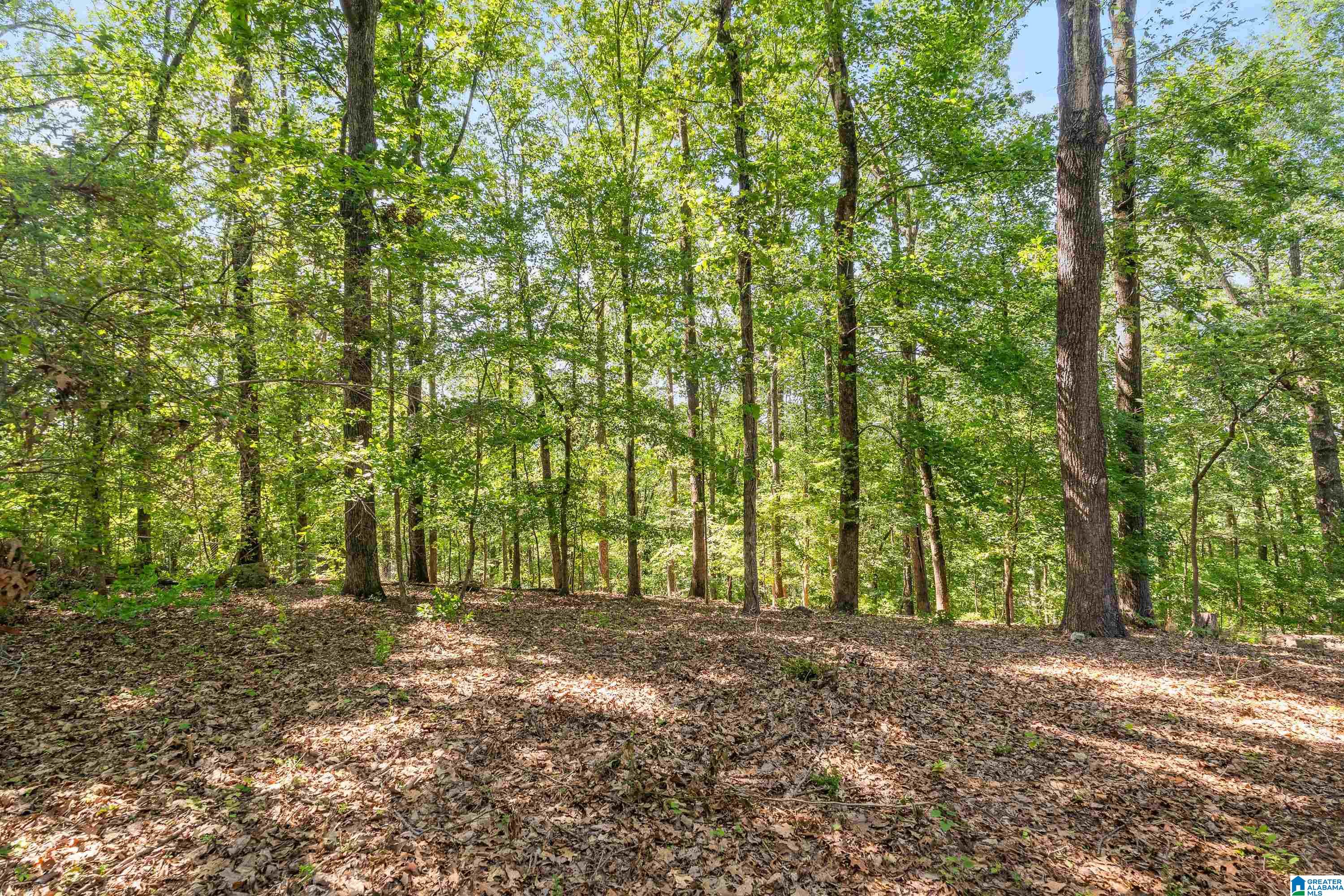134 Highgate Hill Pelham, AL 35124 - Photo 52 of 52