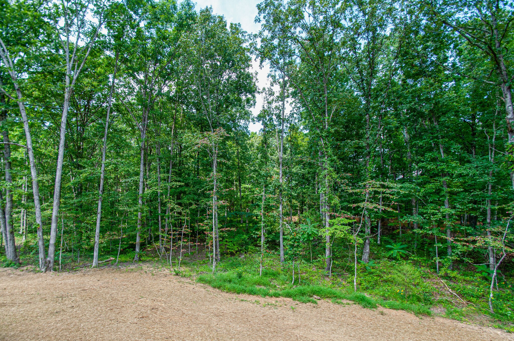 7784 Pinewood Road Nunnelly, TN 37137 - Photo 30 of 31 Gallery Image 30