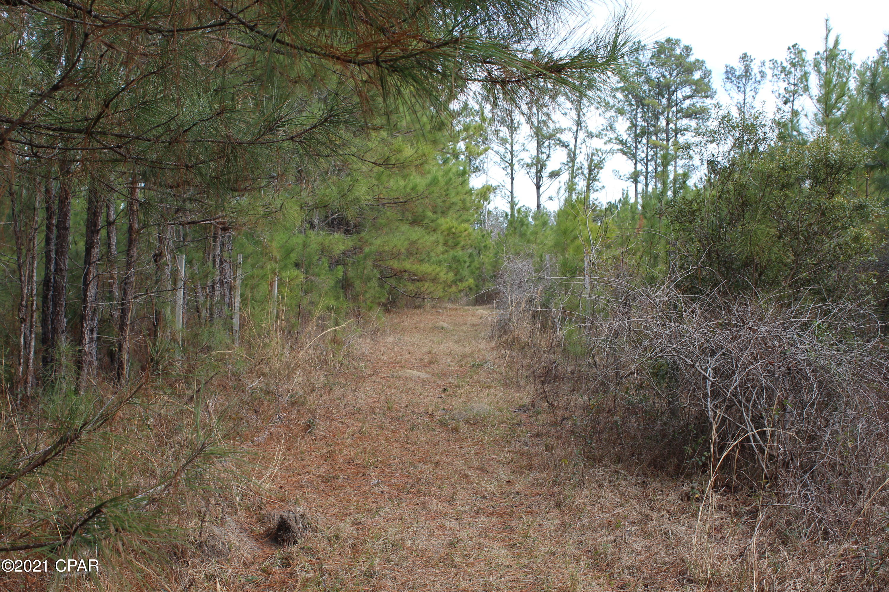 3525 Spool Mill Road Vernon, FL 32462 - Photo 49 of 54 Gallery Image 49