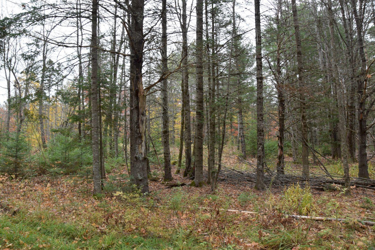27 Osberg Road Harmony, ME 04942 - Photo 17 of 22 DSC_0022