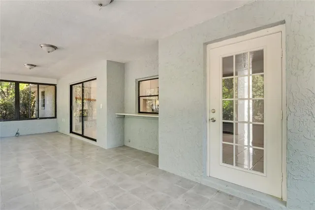 a view of a yard with plants and trees