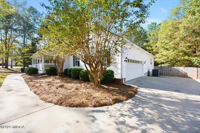 a view of a yard with plants and trees
