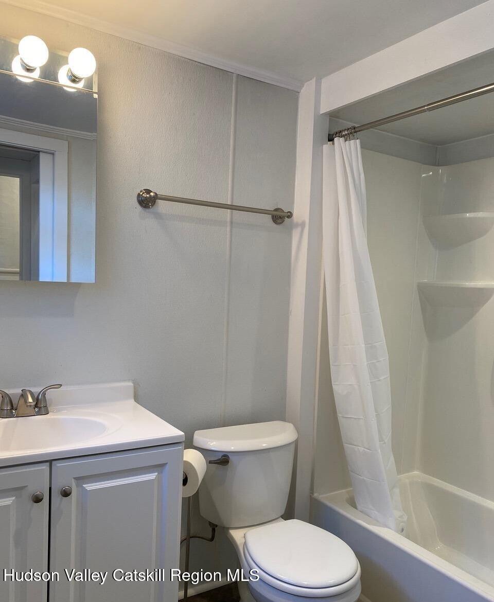 353 Main Street, Unit 2 Cairo, NY 12413 - Photo 9 of 12 a bathroom with a sink toilet and shower