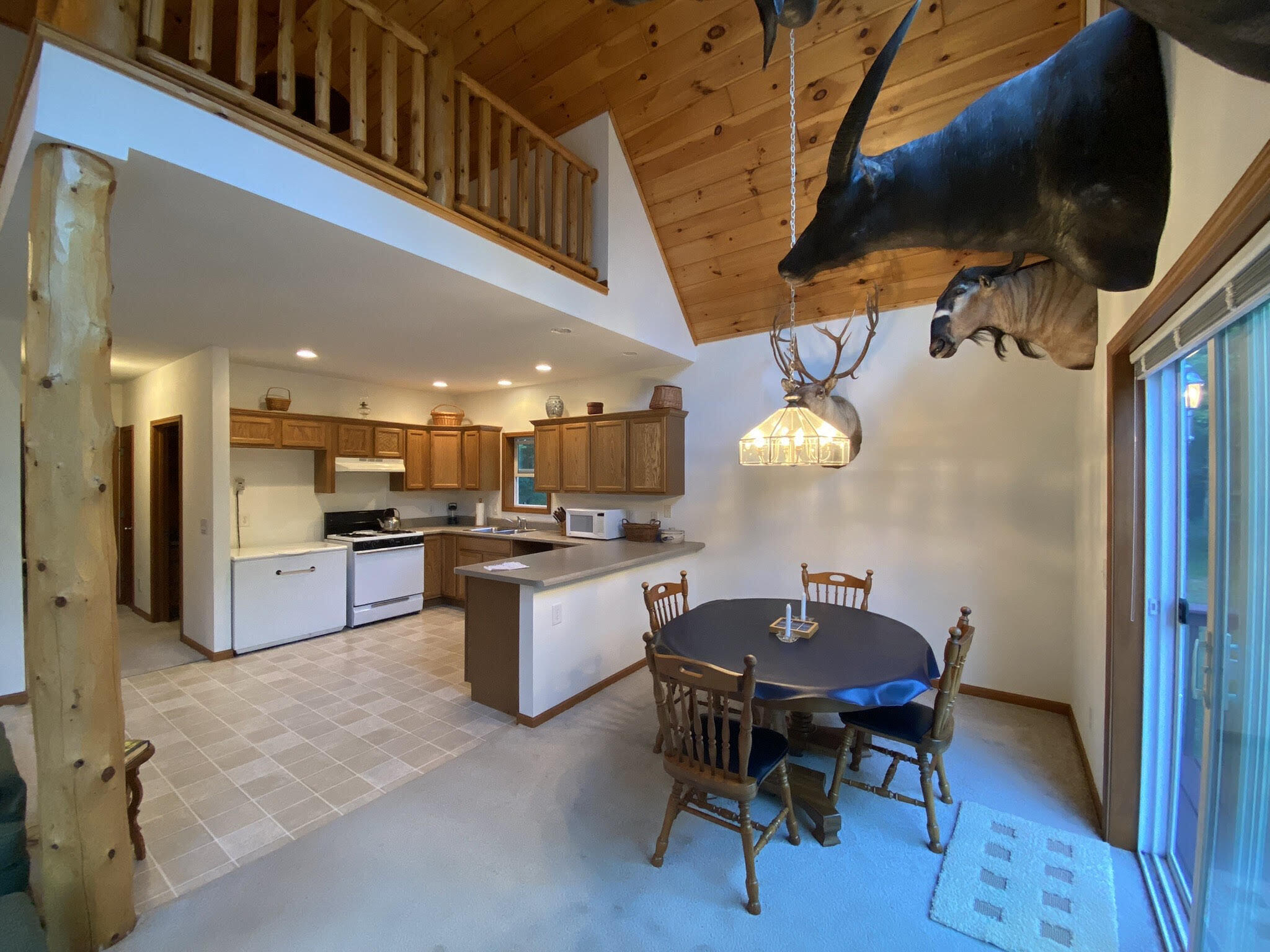 151 Stoney Rdg Road Wellston, MI 49689 - Photo 11 of 25 unnamed (19)