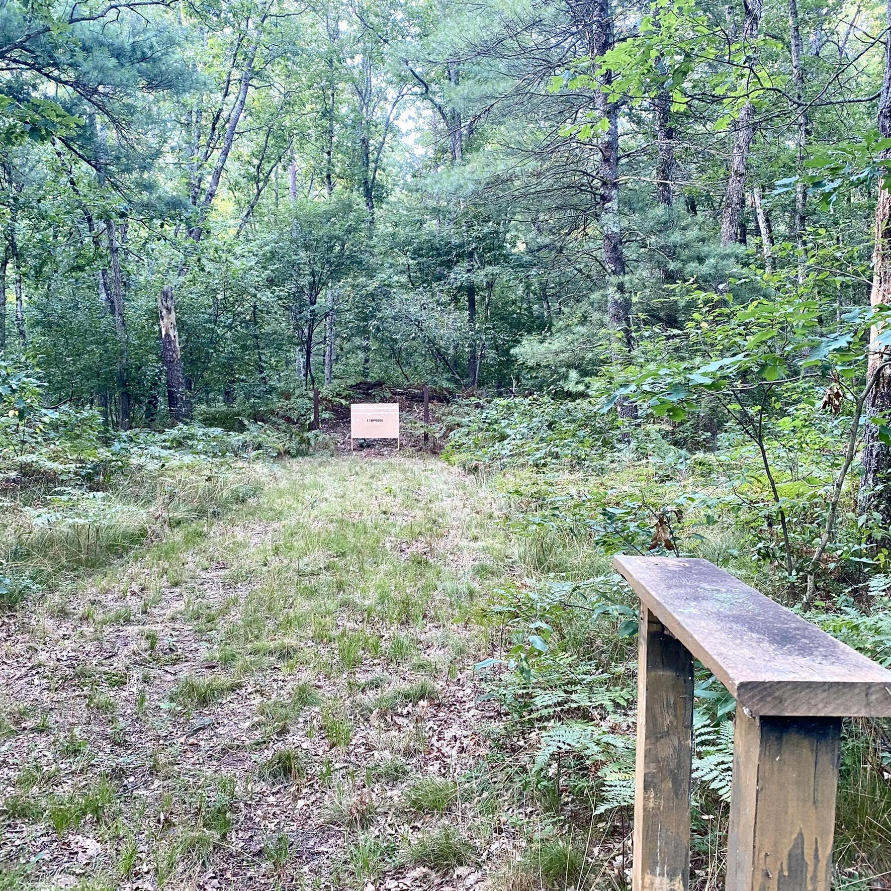 151 Stoney Rdg Road Wellston, MI 49689 - Photo 23 of 25 unnamed
