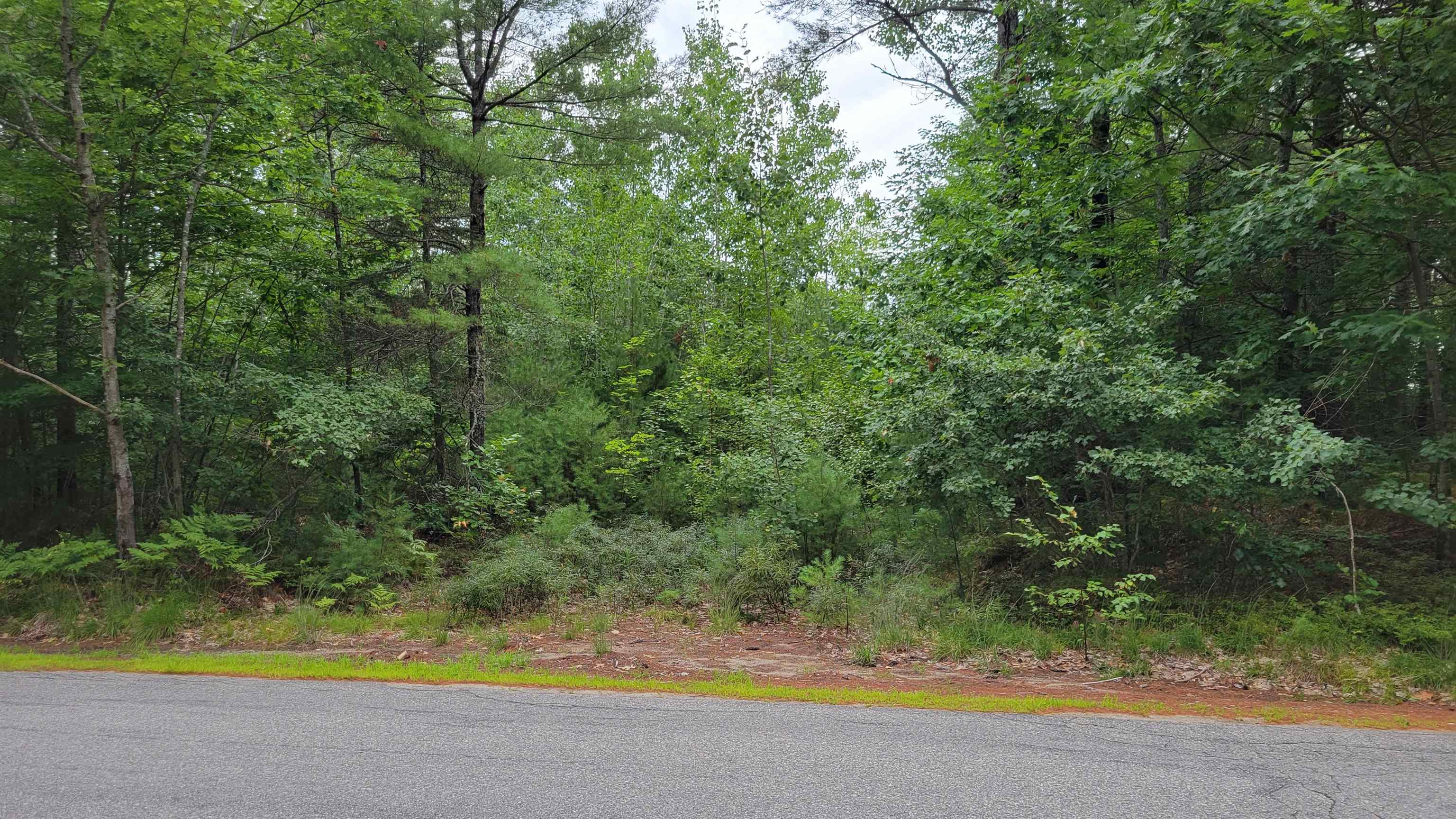 0 Pine River Road Effingham, NH 03882 - Photo 1 of 1 Gallery Image 1