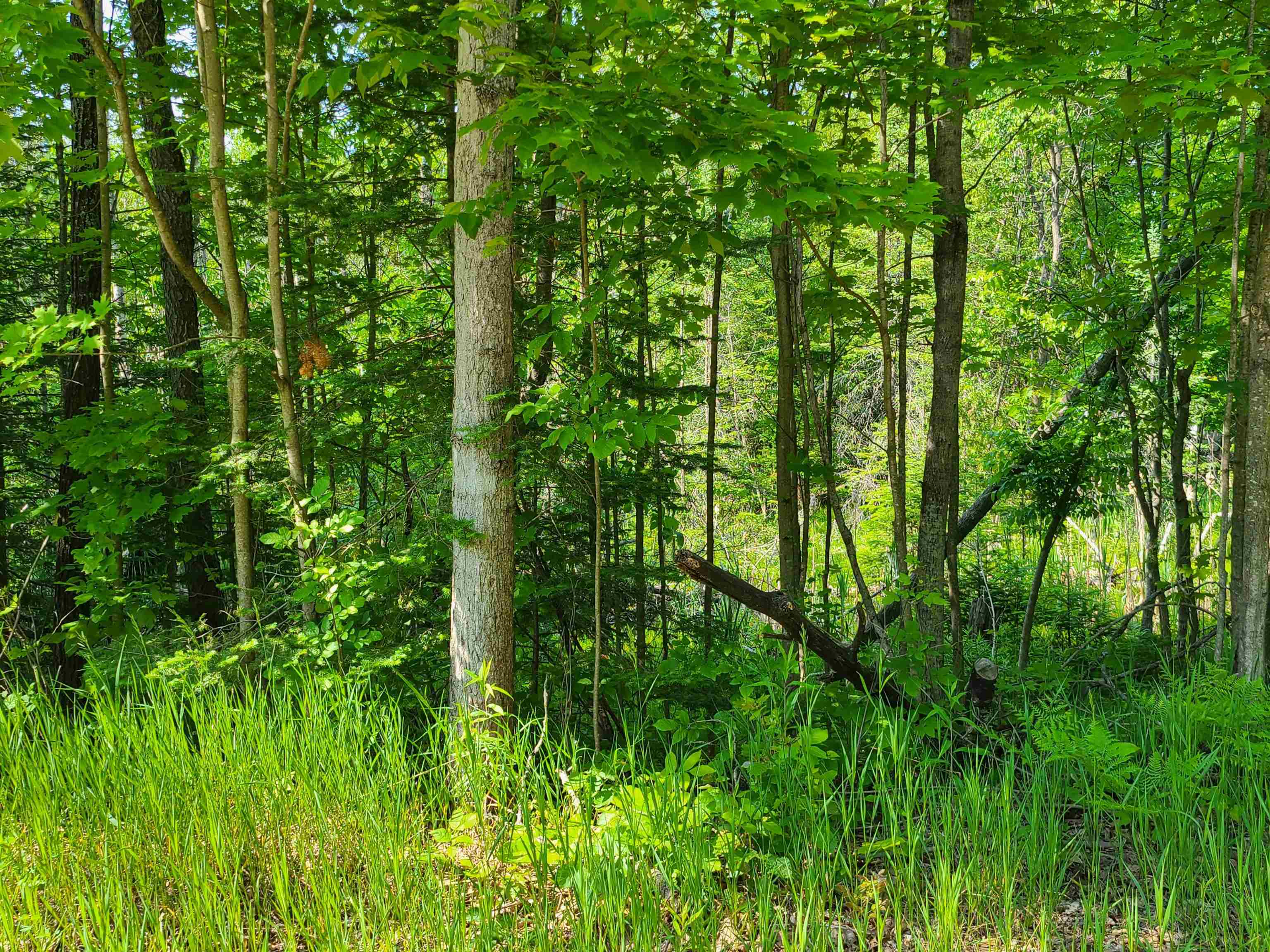 1281 West Trask Lake Road Barton City, MI 48705 - Photo 7 of 8