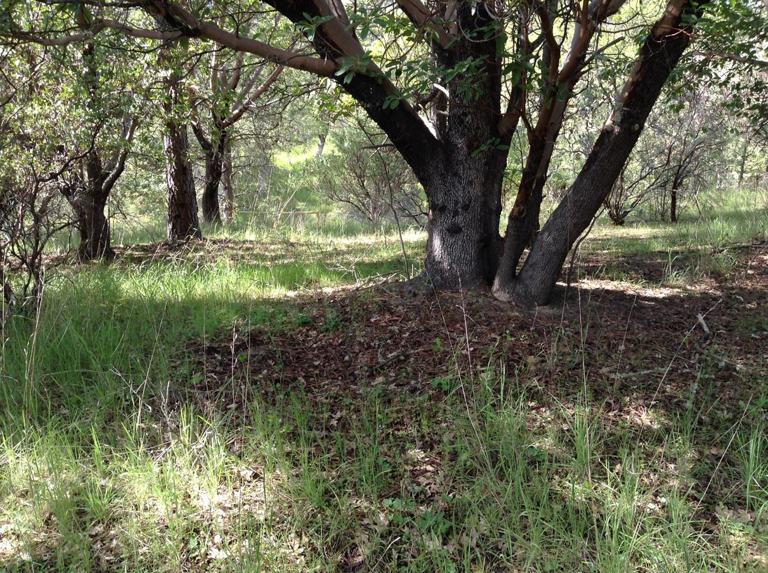 369 Ridgewood Drive Jacksonville, OR 97530 - Photo 7 of 12 Additional Photo