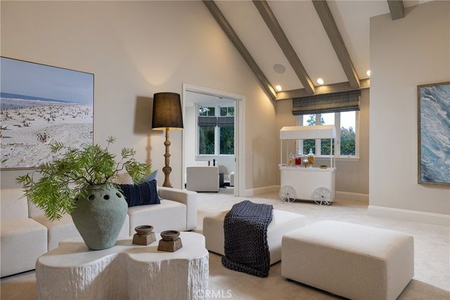 a living room with furniture potted plant and windows