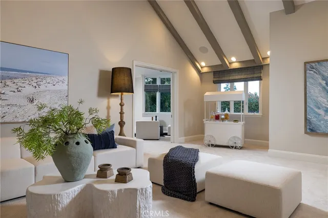 a living room with furniture potted plant and windows