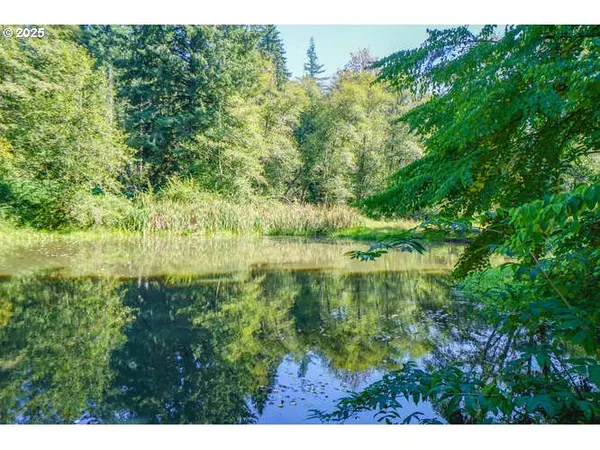 $1,399,000 | 17719 Northeast Manning Circle, Amboy, WA 98601