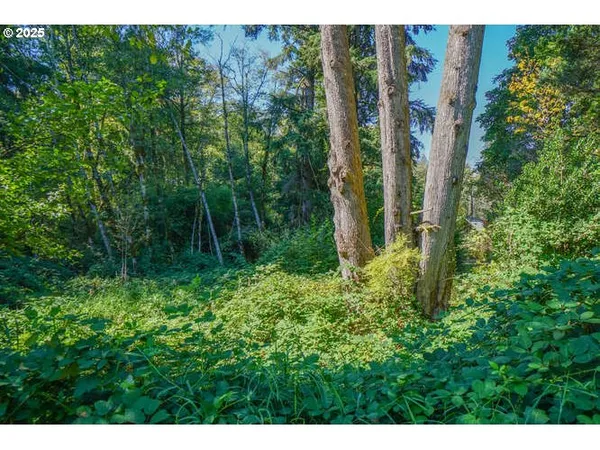 $1,399,000 | 17719 Northeast Manning Circle, Amboy, WA 98601