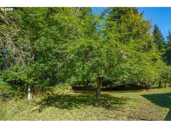 $1,399,000 | 17719 Northeast Manning Circle, Amboy, WA 98601
