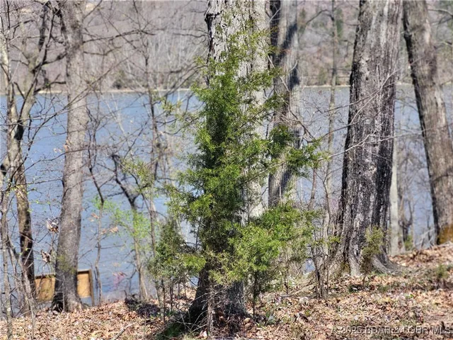 $125,000 | Emerald Hills Drive, Edwards, MO 65326