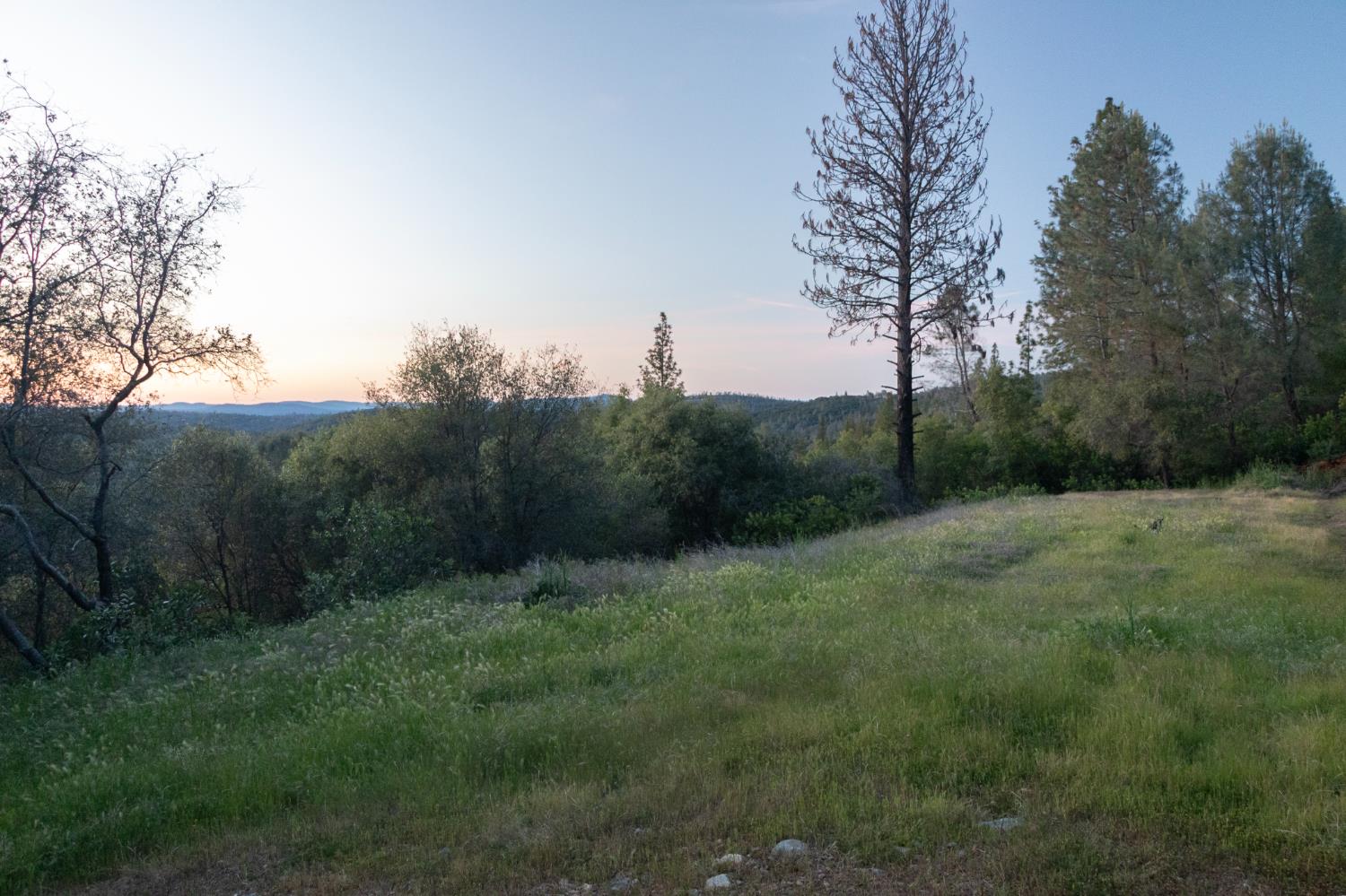 12911 Long Valley Road Penn Valley, CA 95946 - Photo 2 of 35 a big yard with lots of green space and trampoline