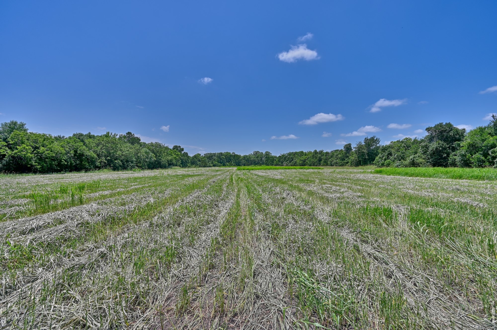 6238 Kovar Road Fayetteville, TX 78940 - Photo 13 of 28