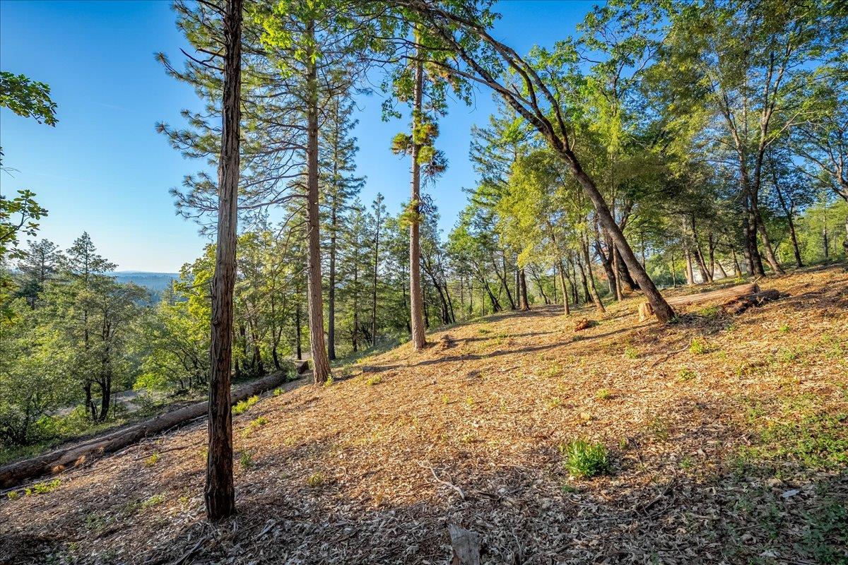 6880 Wentworth Springs Road Georgetown, CA 95634 - Photo 10 of 22 Gallery Image 10