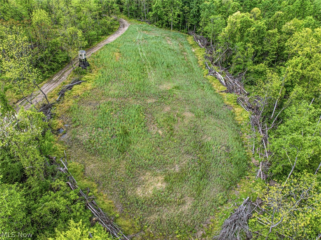 95-acres Newlon Road Malta, OH 43758 - Photo 8 of 18