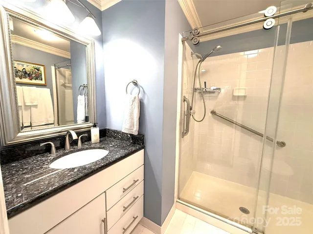 a bathroom with a granite countertop shower sink and mirror