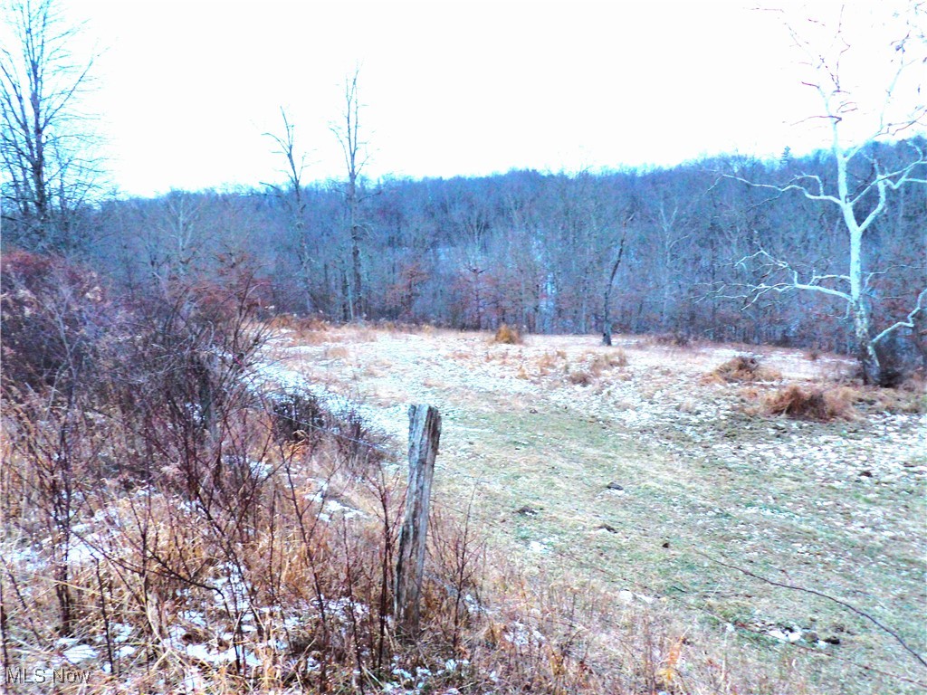 50877 Moore Ridge Road Jerusalem, OH 43747 - Photo 4 of 49