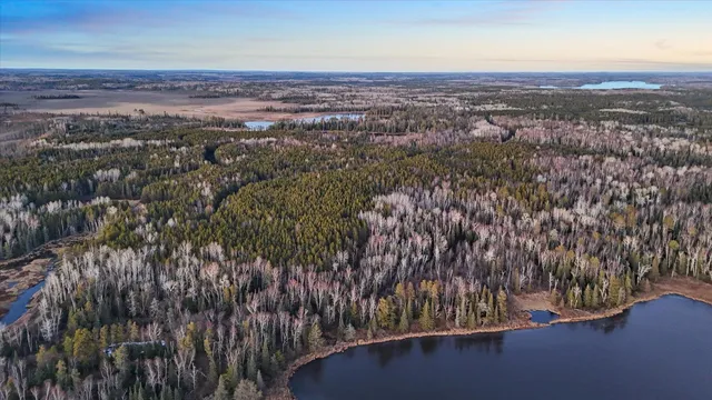 $219,000 | Tbd Tbd Arthur Lake, Ely, MN 55731