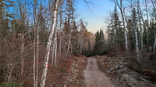 $219,000 | Tbd Tbd Arthur Lake, Ely, MN 55731