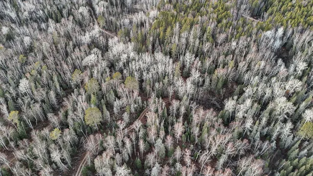 $219,000 | Tbd Tbd Arthur Lake, Ely, MN 55731