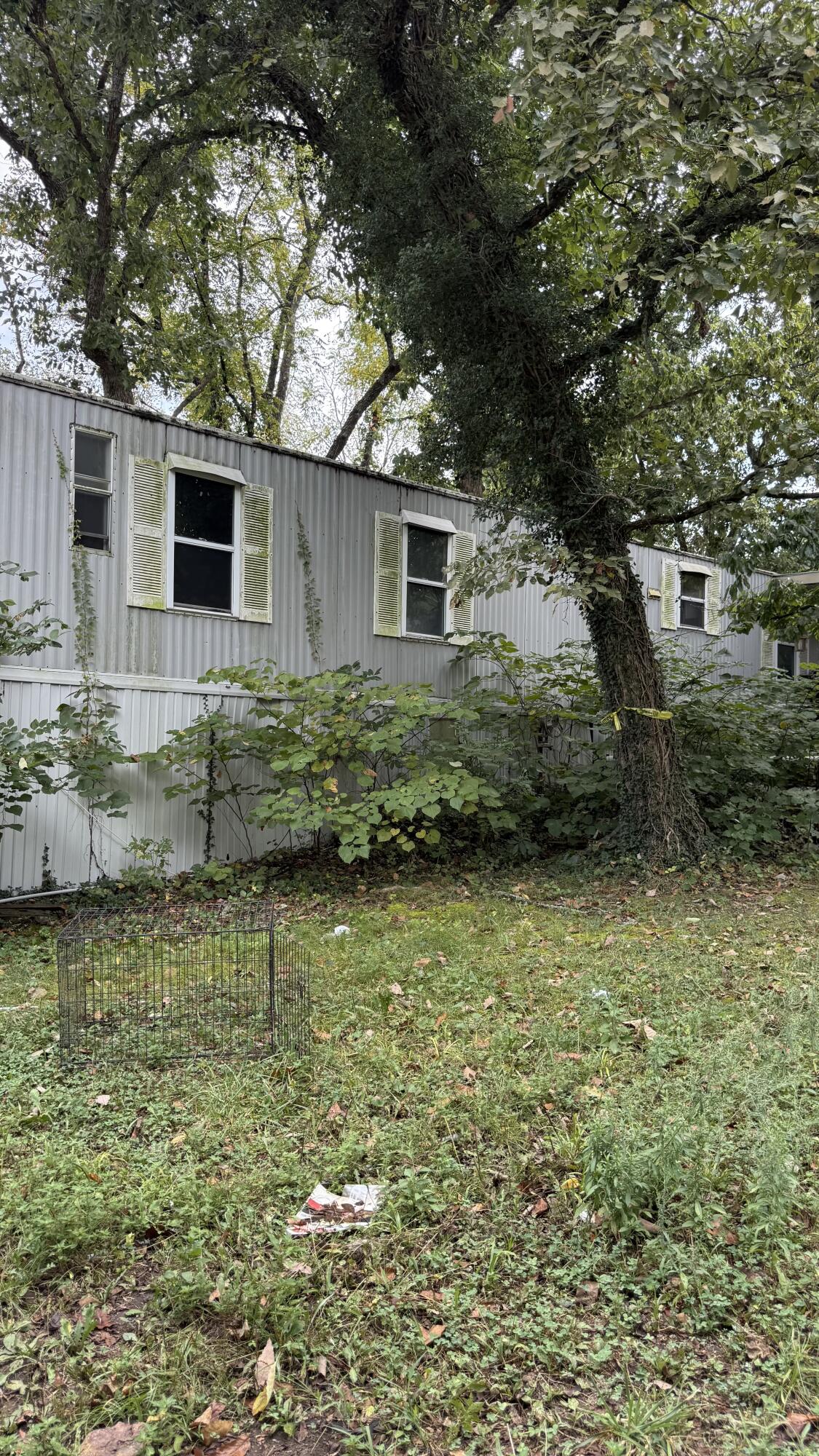 381 Mill Hollow Road Forsyth, MO 65653 - Photo 1 of 20 IMG_0600