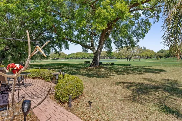 a view of a park with large trees and a yard