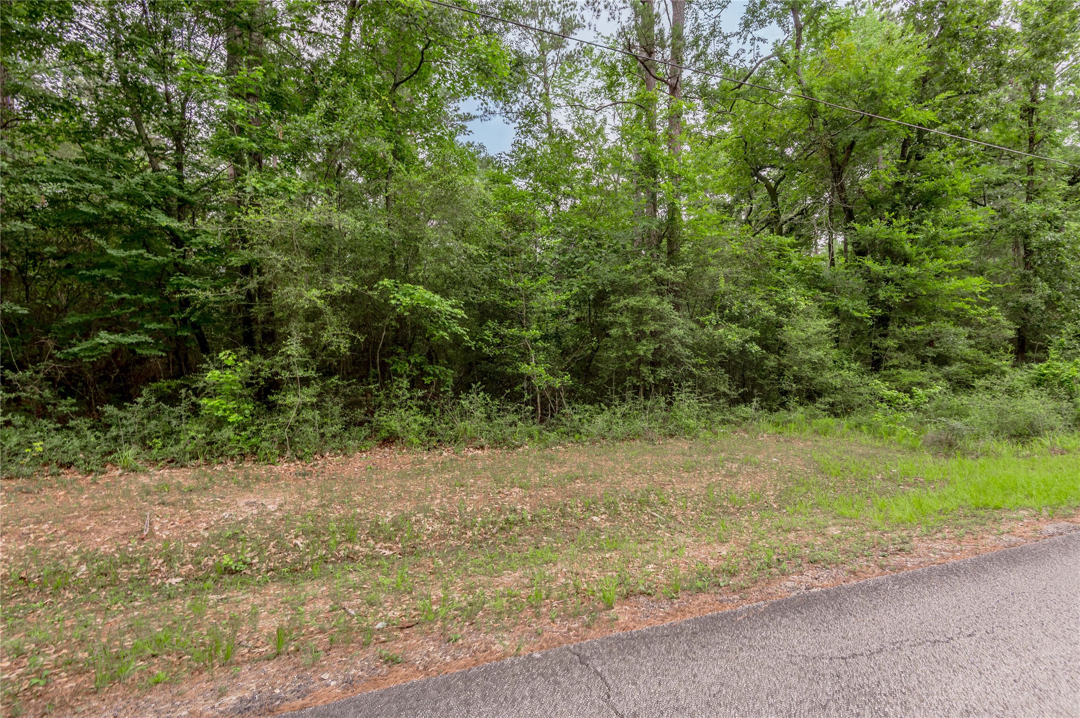 Lot 08 Oak Drive Trinity, TX 75862 - Photo 5 of 32