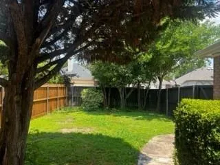 a backyard of a house with plants and large tree