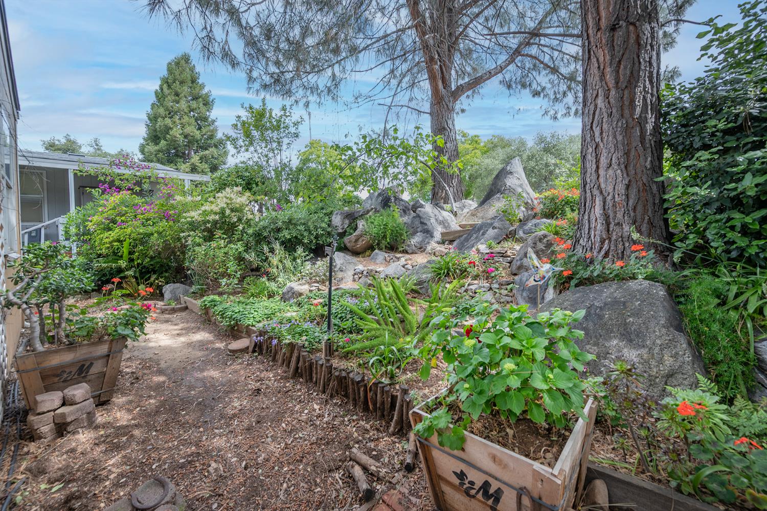 132 Danielle Way Folsom, CA 95630 - Photo 38 of 52 a view of a garden with plants and large trees