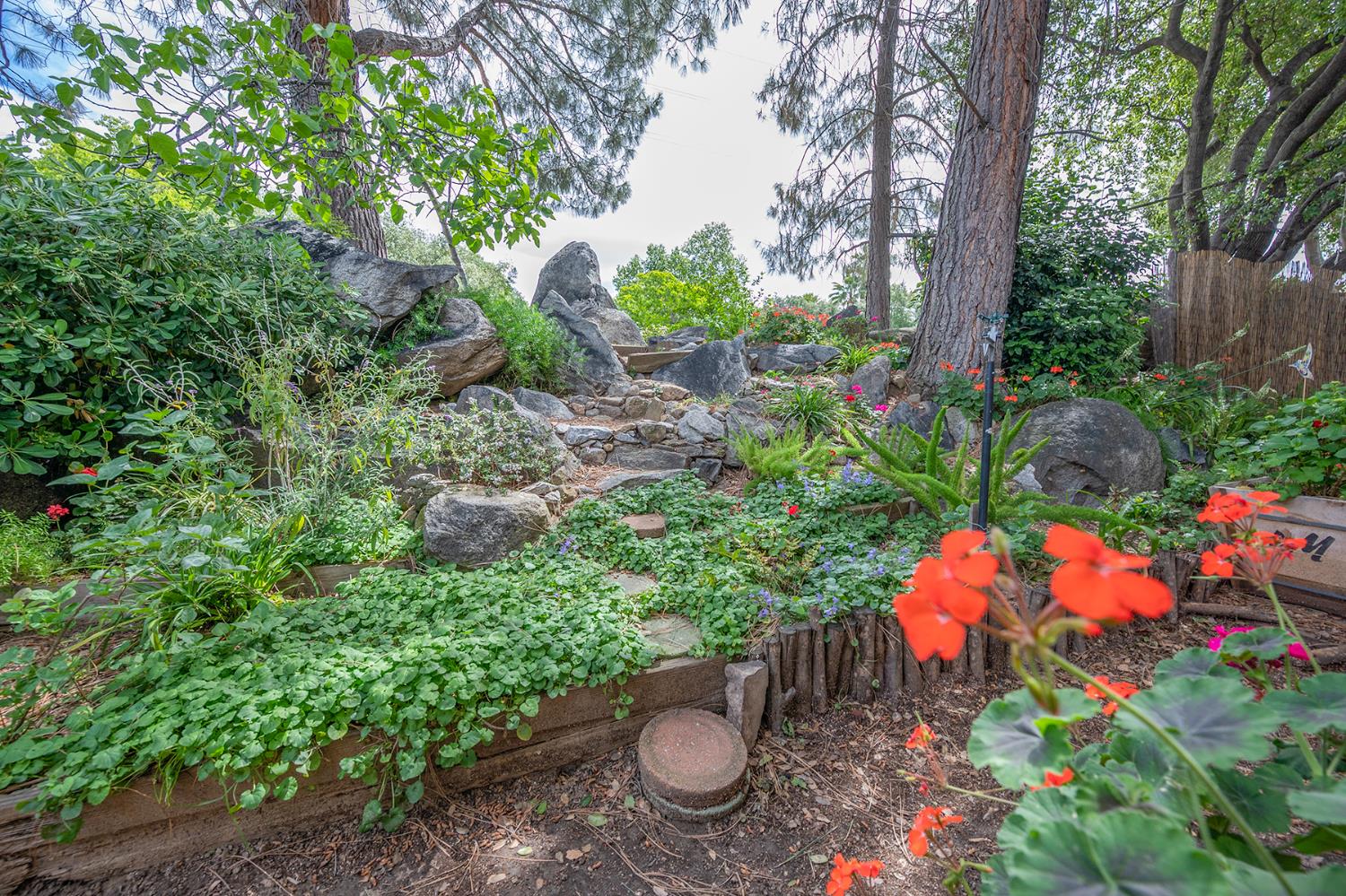 132 Danielle Way Folsom, CA 95630 - Photo 39 of 52 a view of a flower in a garden