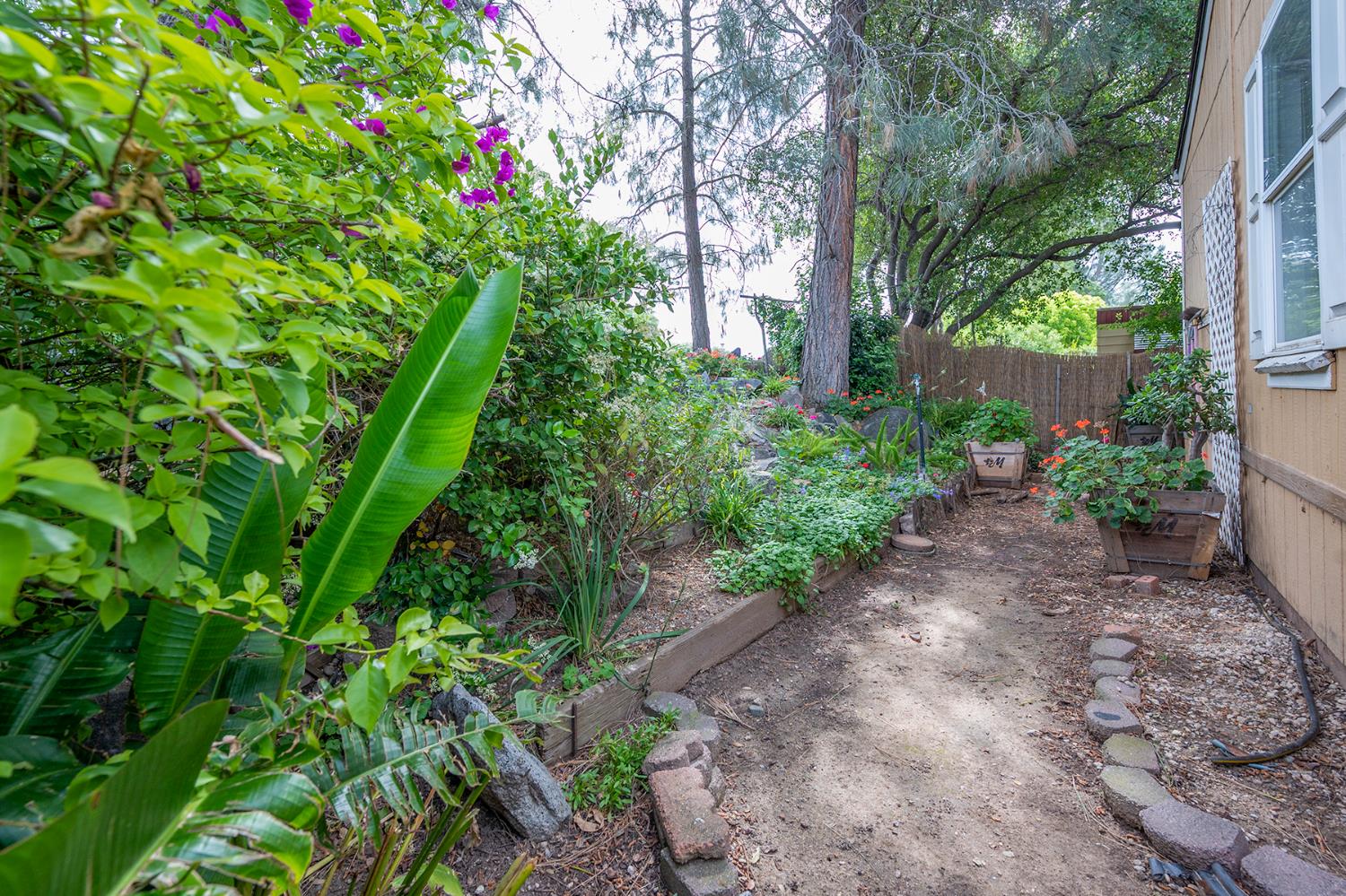 132 Danielle Way Folsom, CA 95630 - Photo 40 of 52 a view of a garden with plants