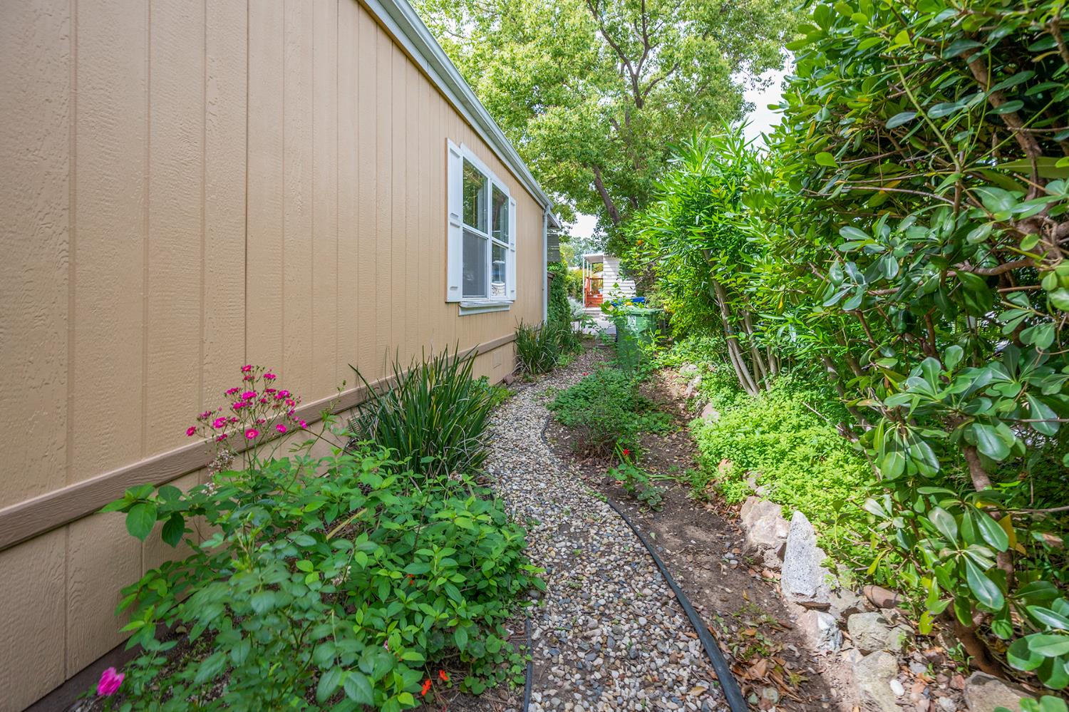 132 Danielle Way Folsom, CA 95630 - Photo 41 of 52 a backyard of a house with flower plants