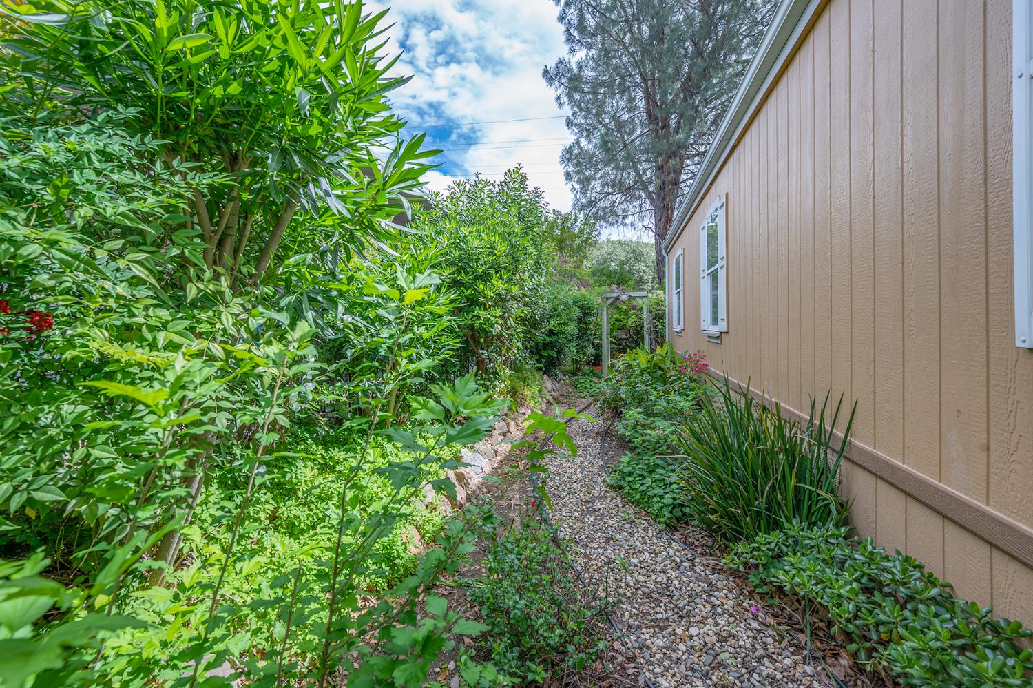 132 Danielle Way Folsom, CA 95630 - Photo 42 of 52 a backyard of a house with lots of green space