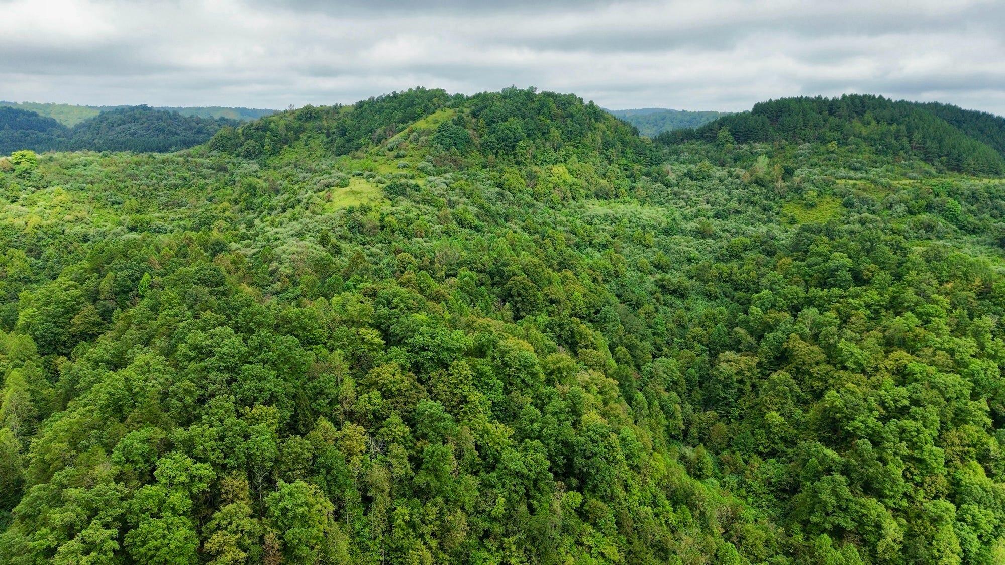 9074 Wolf Creek Road Pilgrim, KY 41250 - Photo 110 of 133 Aerial of Property