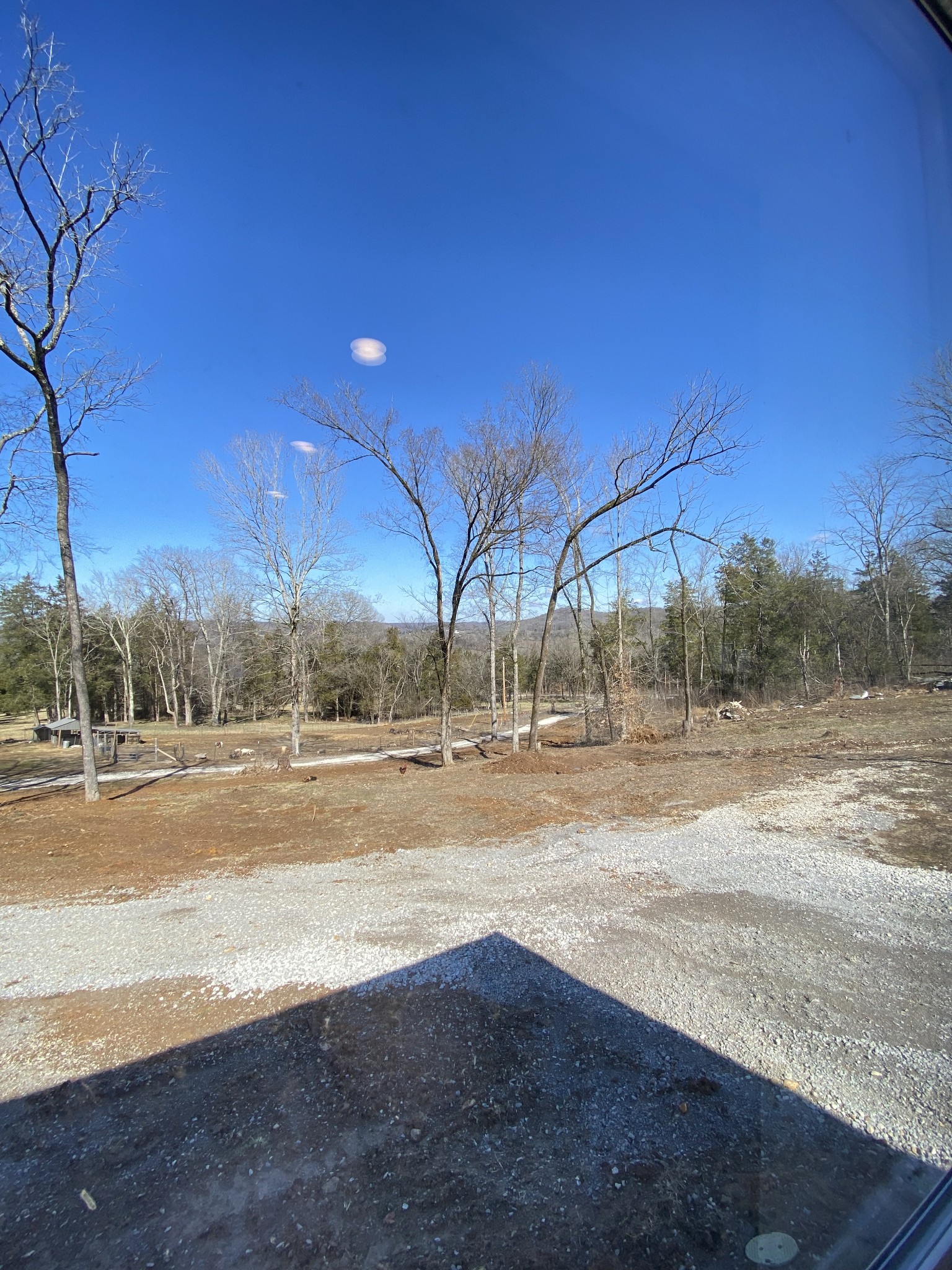 371 Cortner Road Normandy, TN 37360 - Photo 9 of 36 a view of big yard with large trees