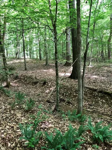 $114,500 | 0 Dogwood Lane, Abbeville, SC 29620