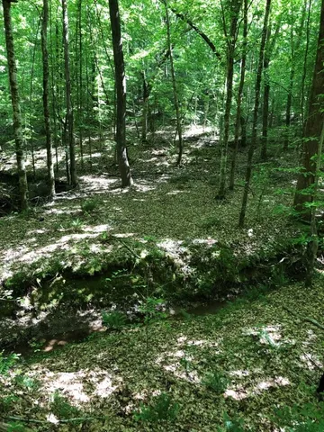 $114,500 | 0 Dogwood Lane, Abbeville, SC 29620