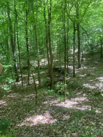 $114,500 | 0 Dogwood Lane, Abbeville, SC 29620