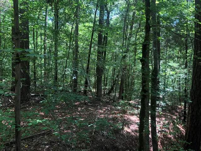 $114,500 | 0 Dogwood Lane, Abbeville, SC 29620