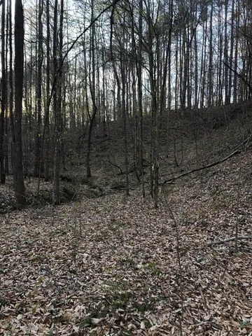 $114,500 | 0 Dogwood Lane, Abbeville, SC 29620